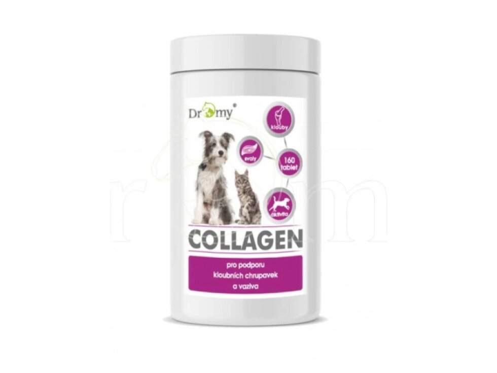 Dromy Collagen 160 tbl.