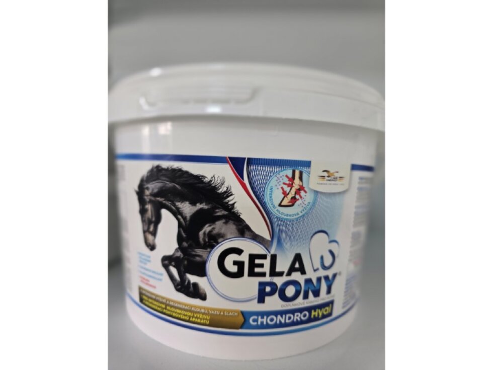Gelapony Chondro Hyal