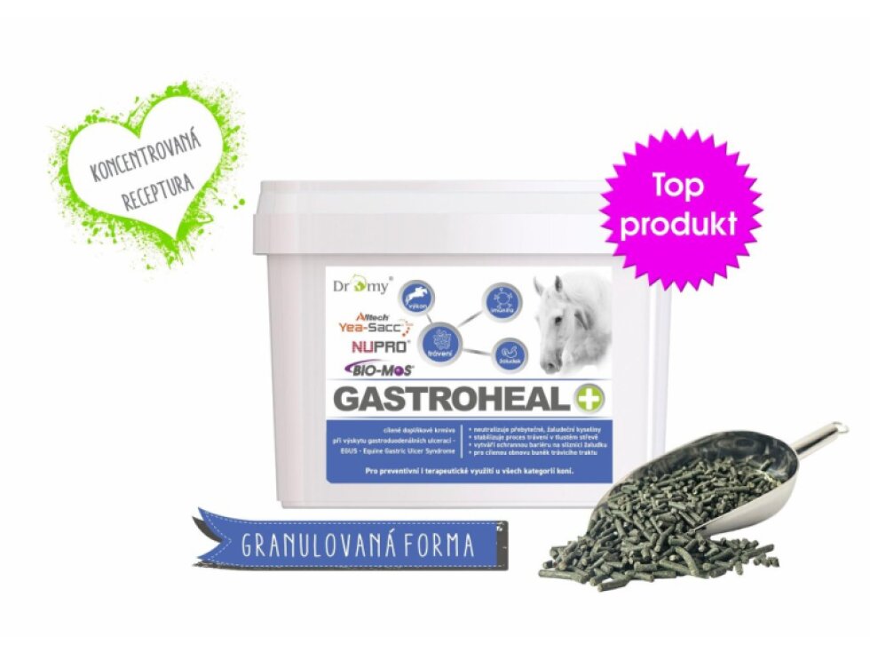 Dromy GastroHeal CONCENTRATE 3kg