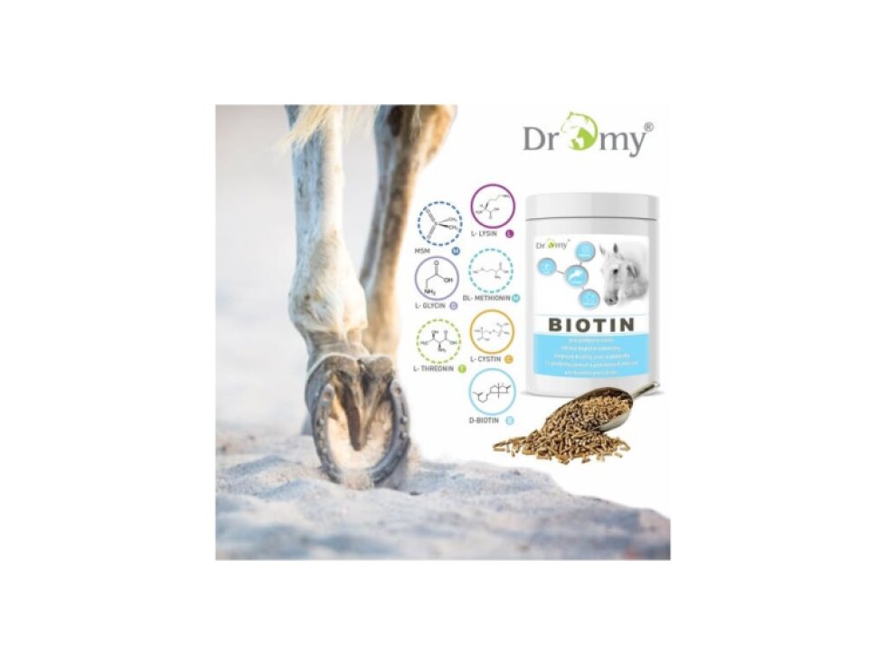 Dromy Biotin FORTE 750g