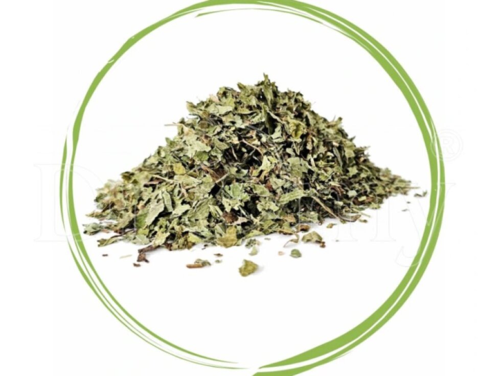 Dromy Meduňka lékařská list řez 1kg