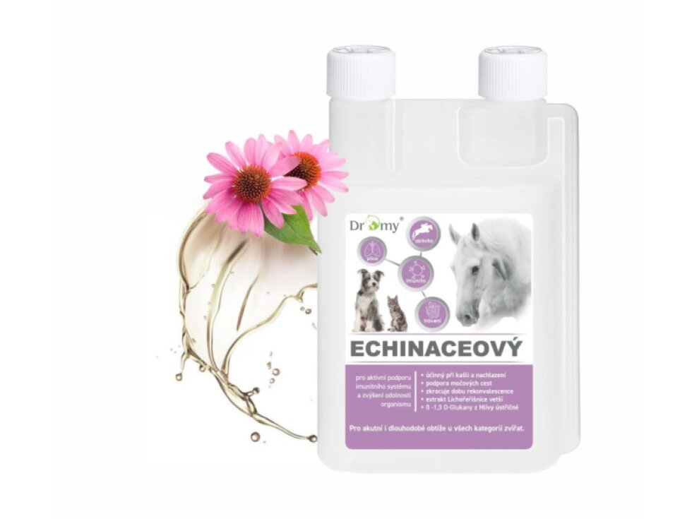 Dromy Echinaceový sirup 1l
