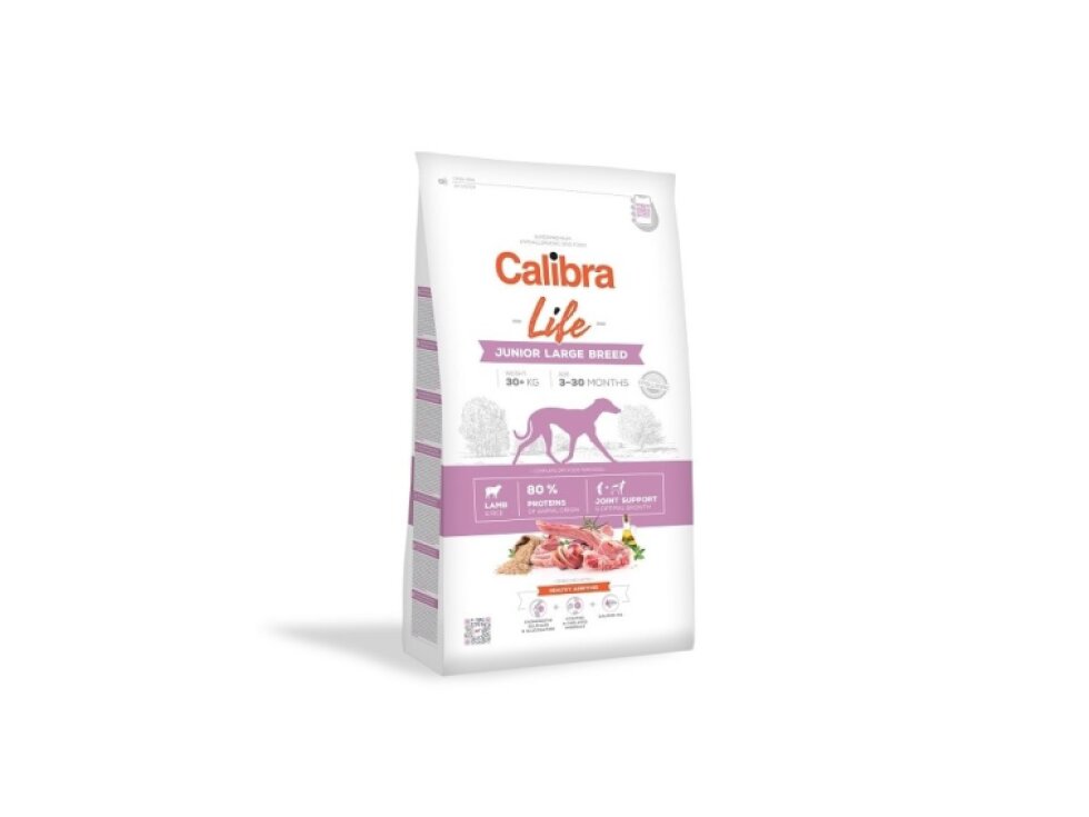 Calibra Dog Life Junior Large Breed Lamb