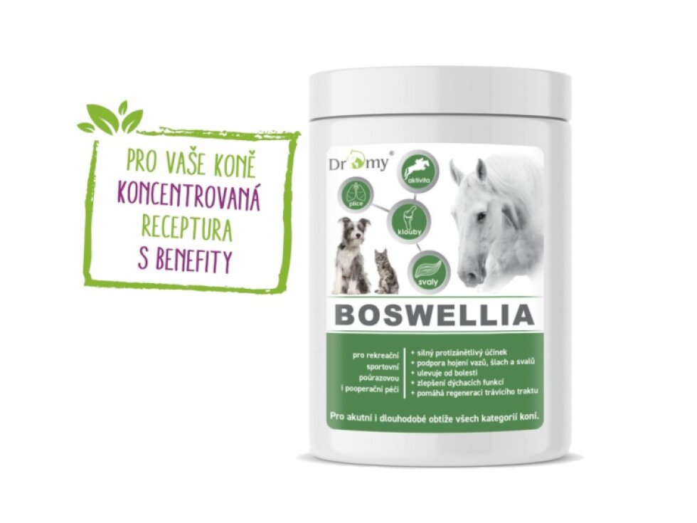 Dromy BOSWELLIA FORTE 750g