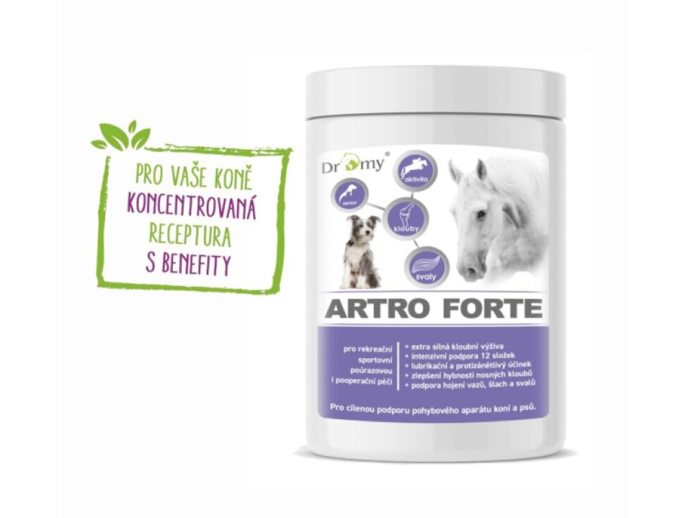 Dromy Artro FORTE 900g