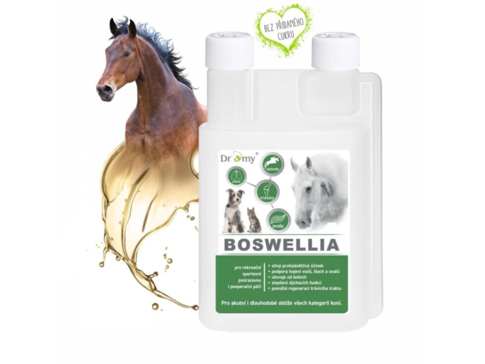 Dromy Boswellia liquid