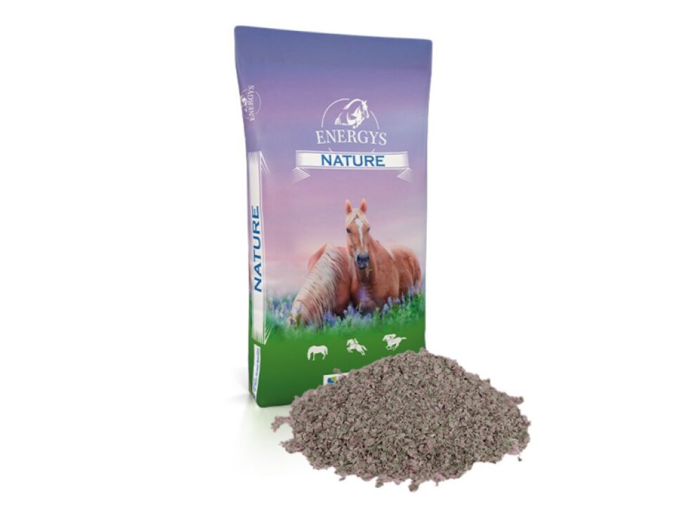 Energys Cukrovarské řízky sušené 20kg sypká forma