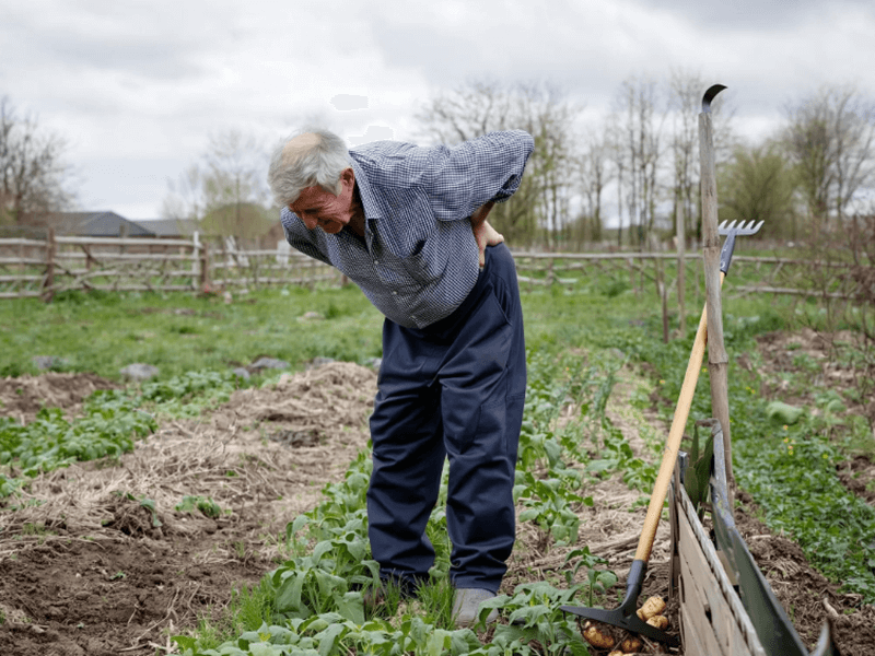 Biolampa ActiveLight s kolorterapiou