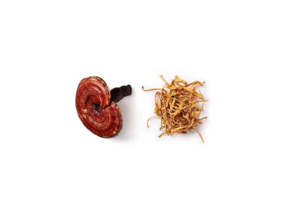 Směs reishi a cordycepsu - Myco-Qi
