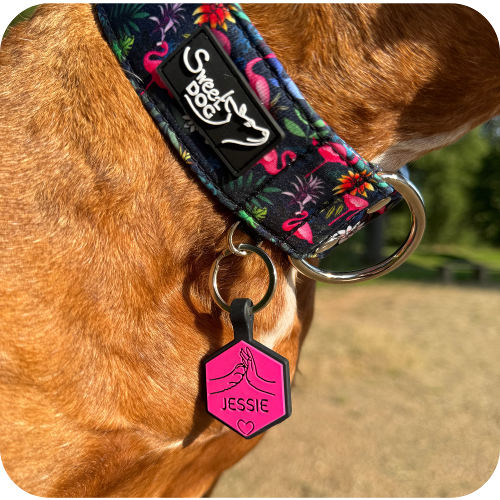 Psí známka Soulmate