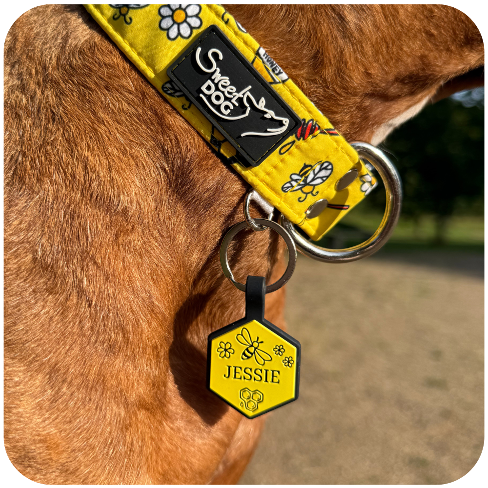 Psí známka Adventure