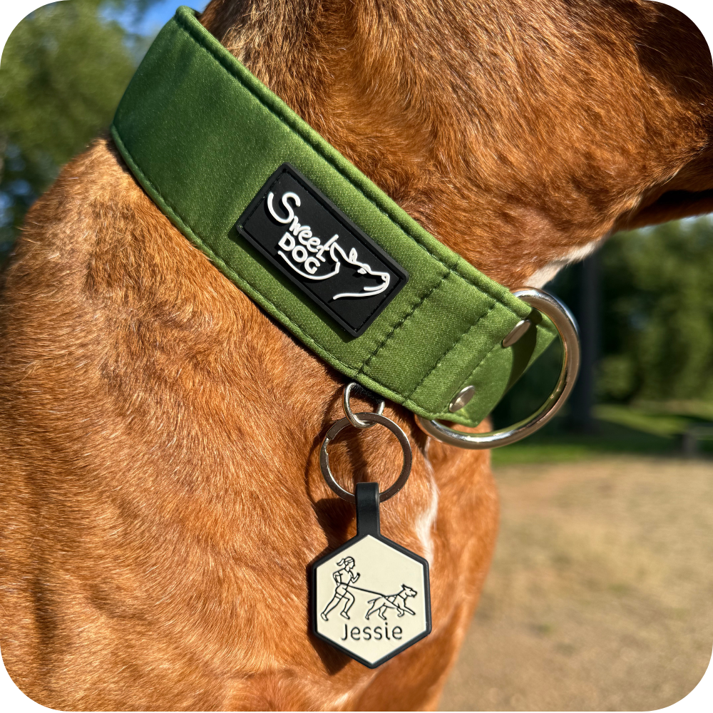 Psí známka Canicross