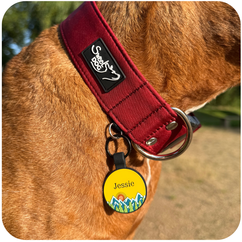 Psí známka Midnight