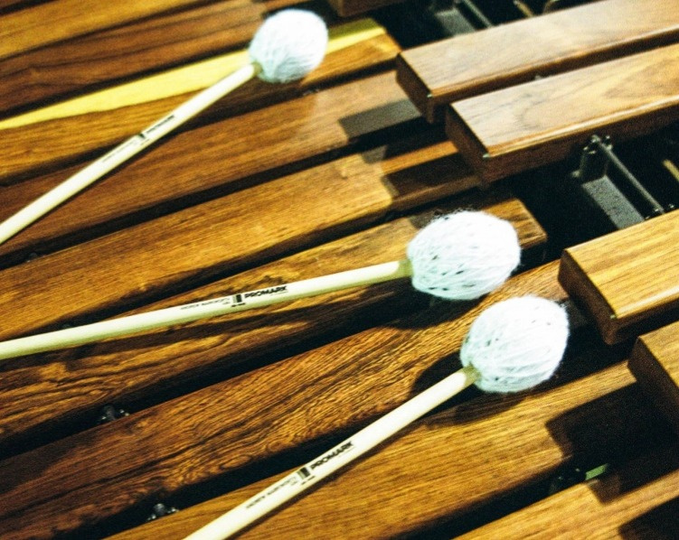 ProMark Rebound 5A Long Hickory - Bubenícke paličky