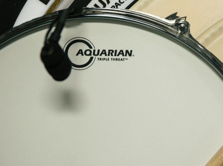 Aquarian Performance II Clear with Power Dot 14" - Blana na bubon