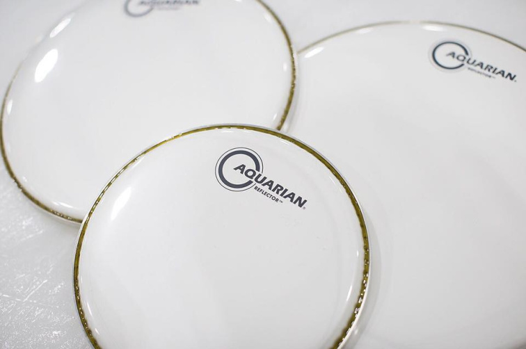 Aquarian Performance II Clear with Power Dot 14" - Blana na bubon