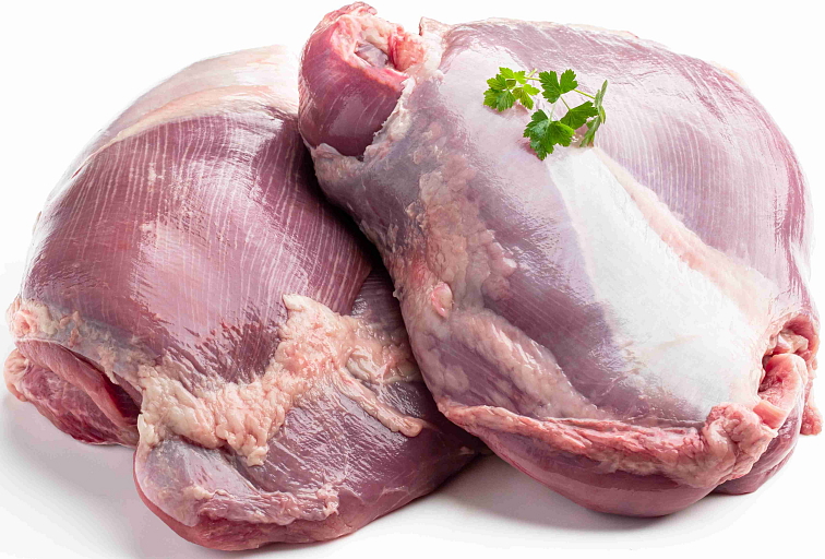 NÉ VETERINA - NORMAL SK