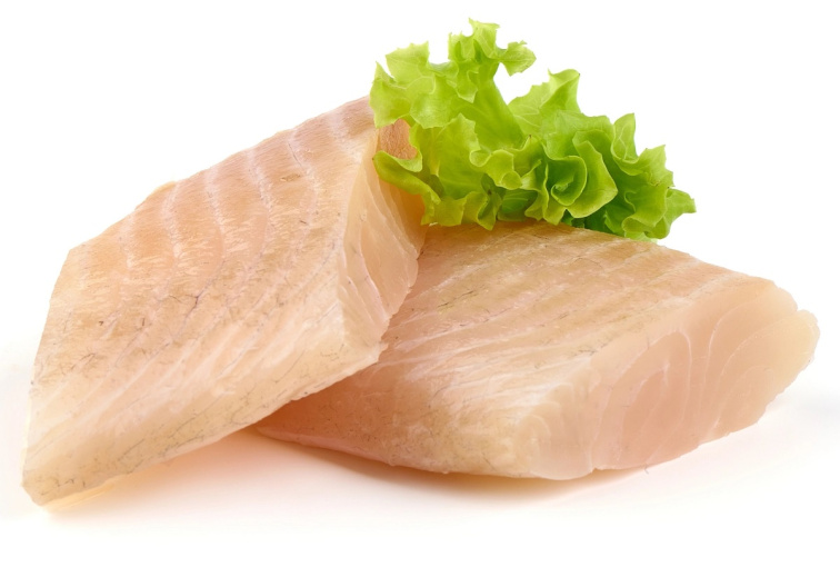 NÉ VETERINA - NORMAL SK