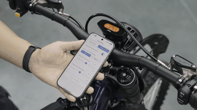 Elektrická motocykel Surron Light Bee X L1e (homologovaný)