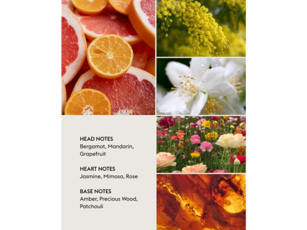 Maison Berger Paris katalytická lampa ETERNITY černá + náplň Lady flower 250 ml