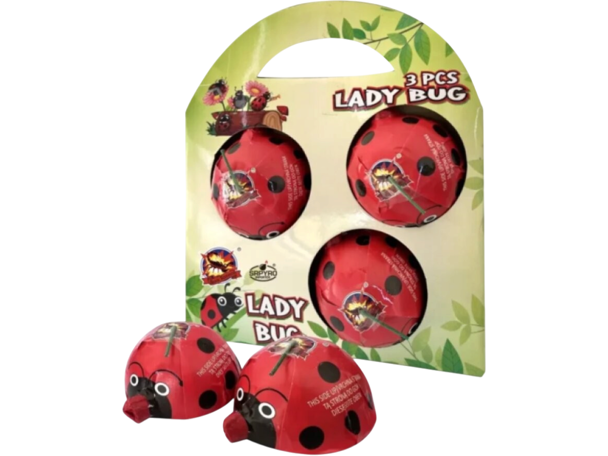 Lady Bug 3ks/bal