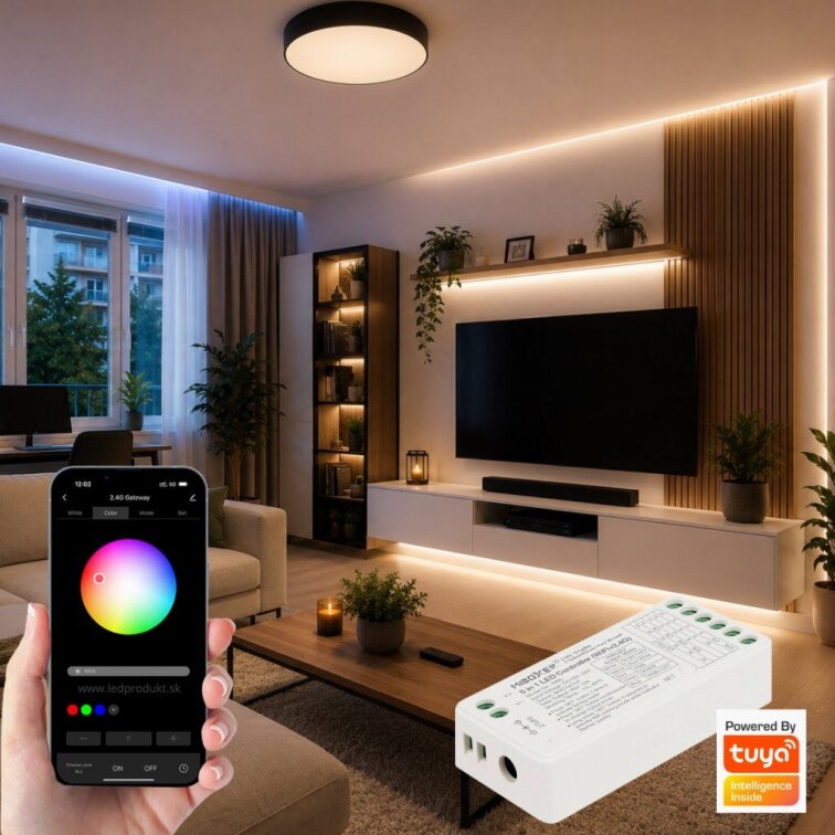 LED přijímač RF6 5 in 1 - 2,4GHz WIFI (SW5)