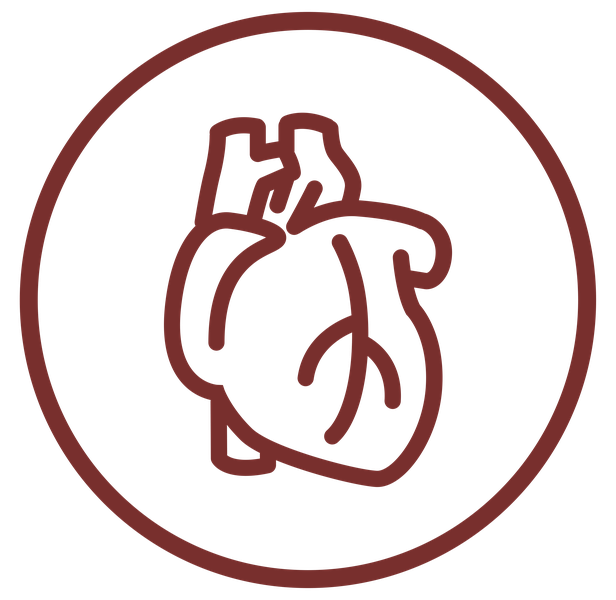 Reishi kvapky 30 ml