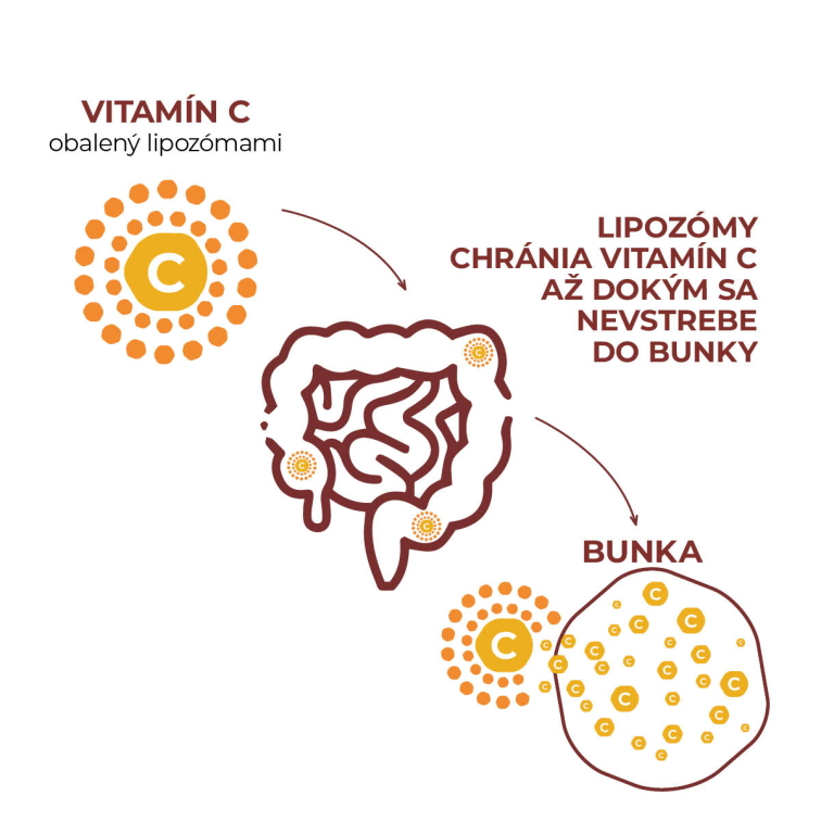 Lipozomálny Vitamín C 60 kapsúl