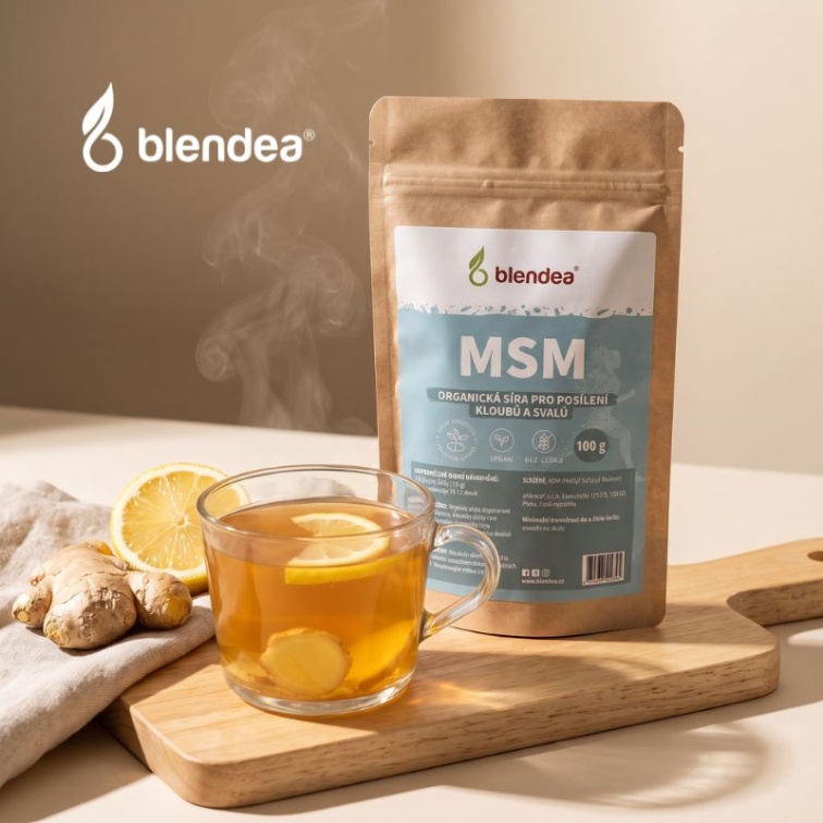 MSM prášok 100 g