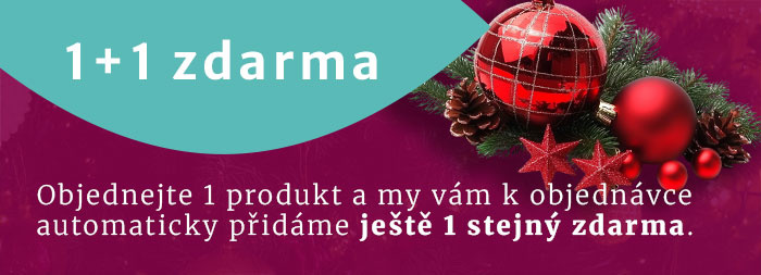🎄 Vánoce s Dreamy