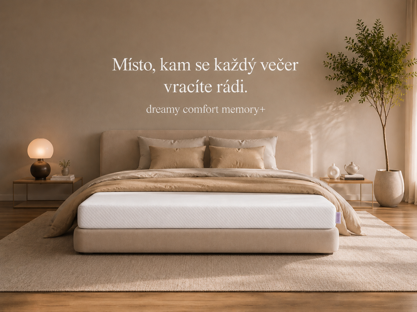 Dreamy Comfort Memory+