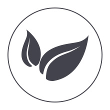 Měkká matrace Essence Sleep Easy Soft + polštář zdarma