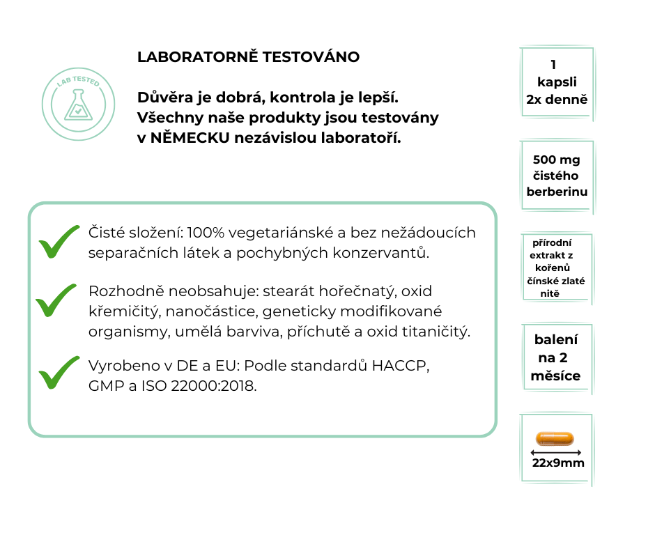 Vit4ever Berberin HCL Intenso, 120 kapslí