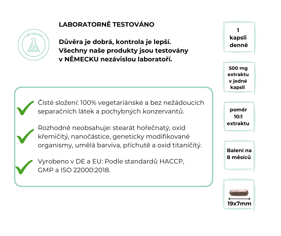 Vit4ever Třezalka tečkovaná 500 mg, 240 kapslí