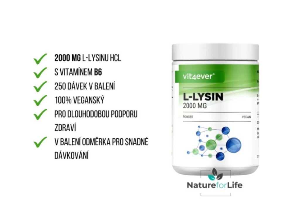 Vit4ever L-Lysin HCL prášek, 500 g