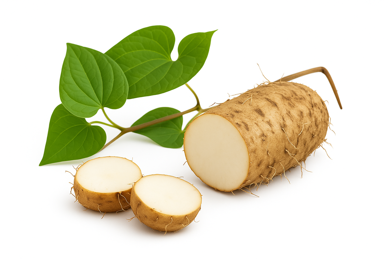 Vit4ever Wild Yam 440 mg, 20% Diosgenin, XL balení