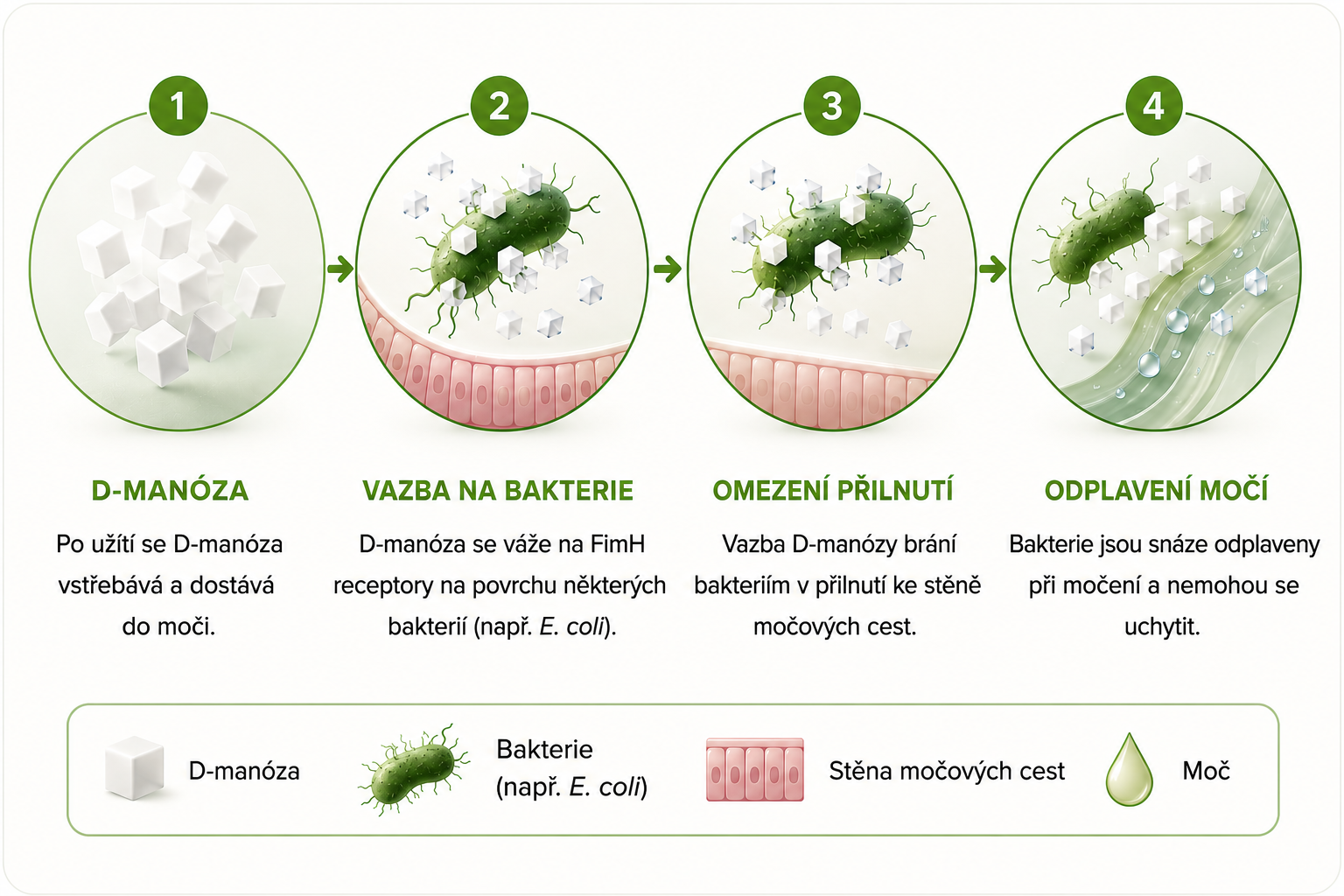 Vit4ever D-Mannose - Manóza prášek, 250 g