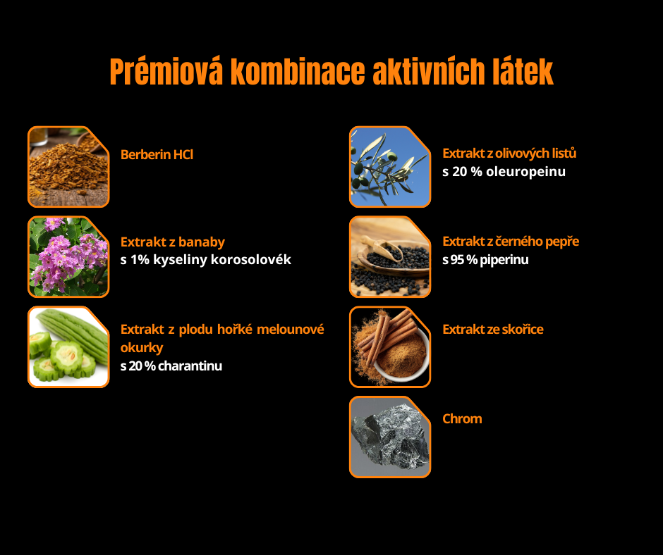 GEN Berberin komplex - 120 kapslí