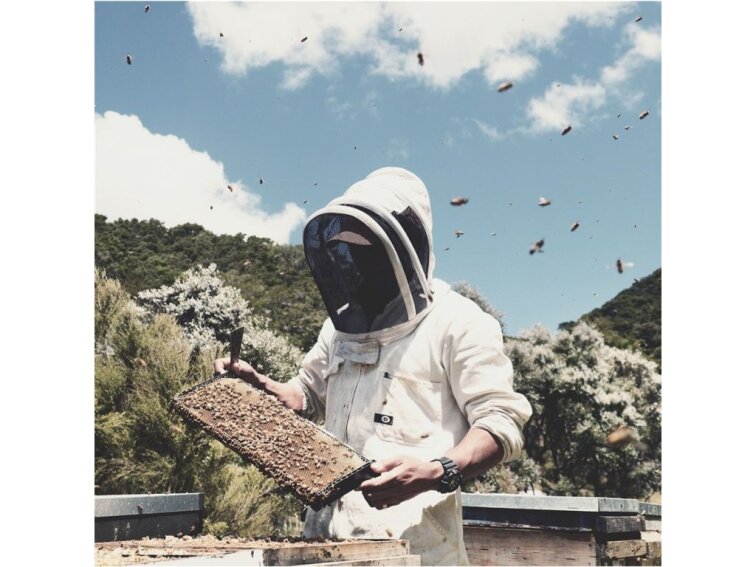 Steens RAW Manuka Honey 85+ MGO