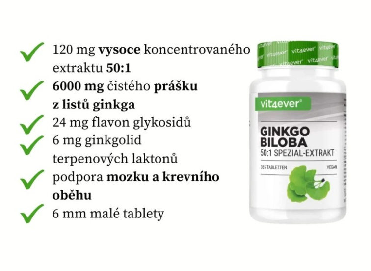 Vit4ever Ginkgo Biloba extrakt 50:1 - 365 tablet