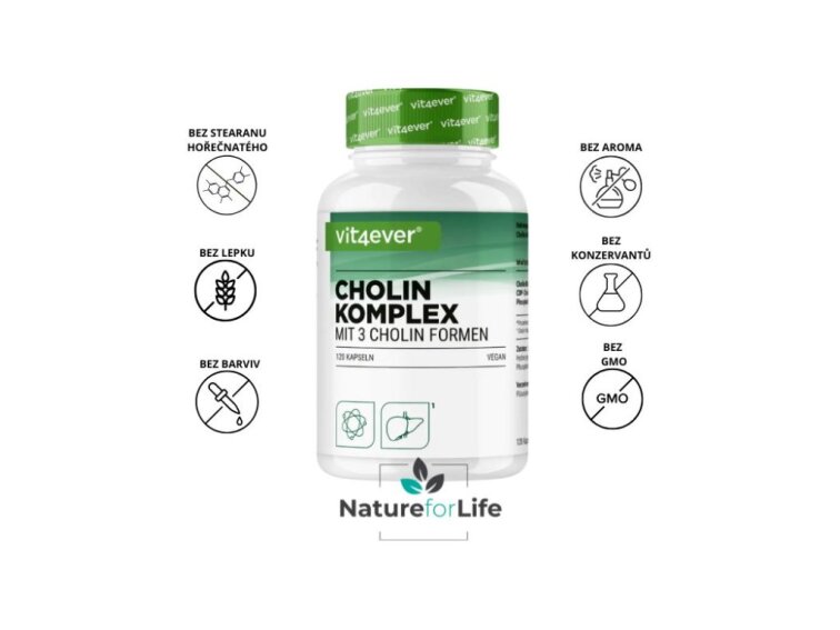 Vit4ever Choline Complex, 750 mg, 120 kapsúl