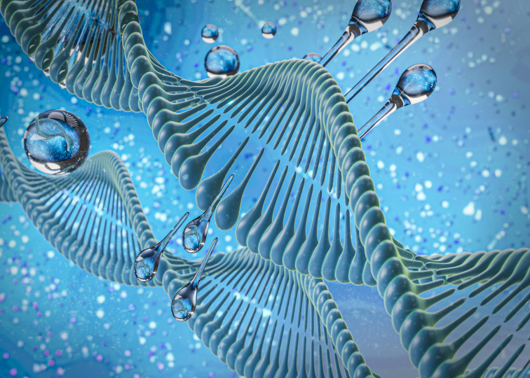 PLANET PALEO Marine Collagen - Hydrolyzovaný mořský kolagen z divokých ryb