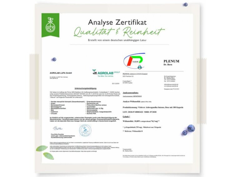 Vit4ever Ashwagandha Intenso 750mg - 180 kapslí