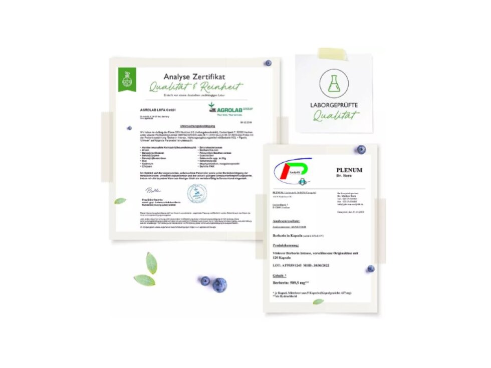 Vit4ever Berberin HCL Intenso, 120 kapslí