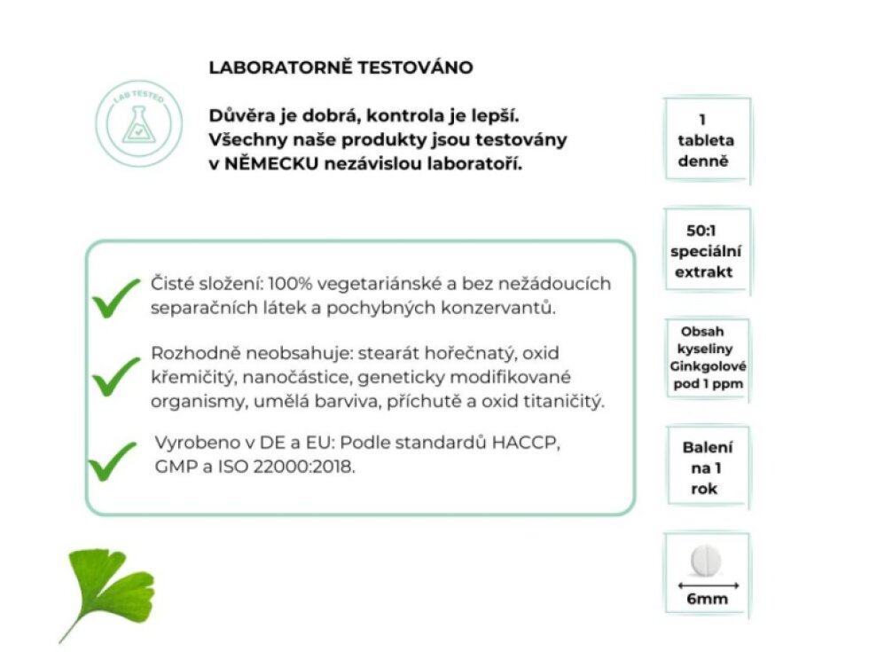 Vit4ever Ginkgo Biloba extrakt 50:1 - 365 tablet