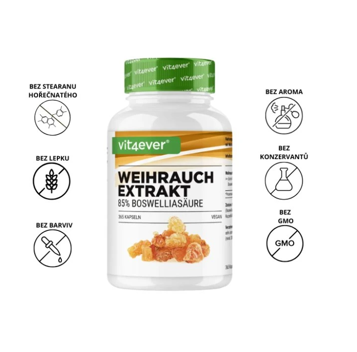 Vit4ever Boswellia serrata Extrakt, 500 mg