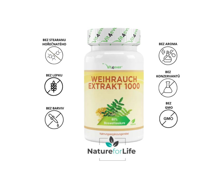 Vit4ever Boswellia serrata extrakt 500 mg