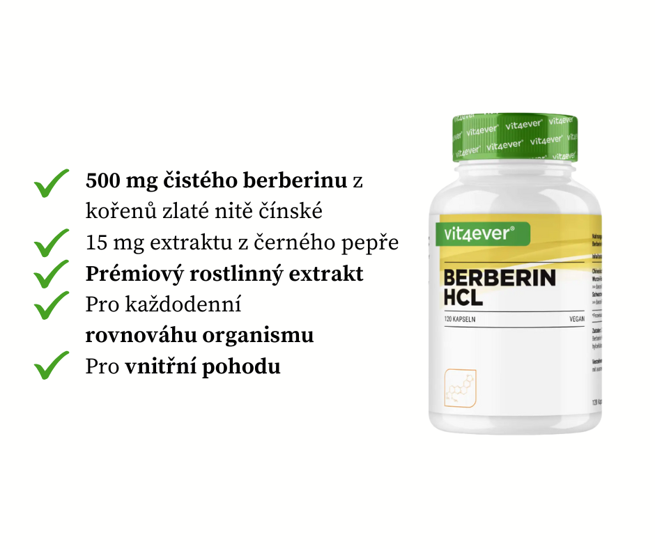 Vit4ever Berberin HCL Intenso, 120 kapslí