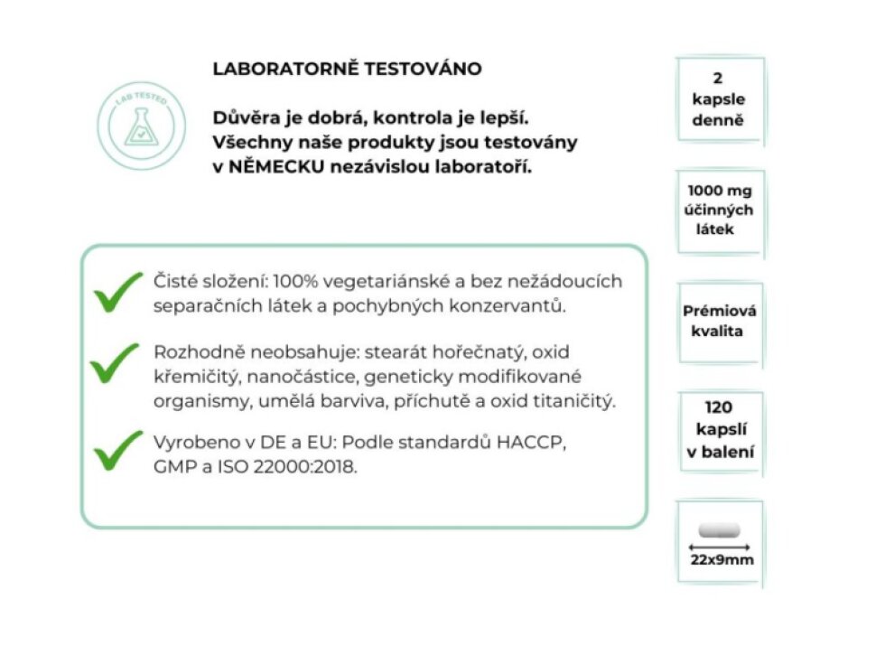 Vit4ever L-Carnosine, L-Karnosin, 500 mg, 120 kapslí