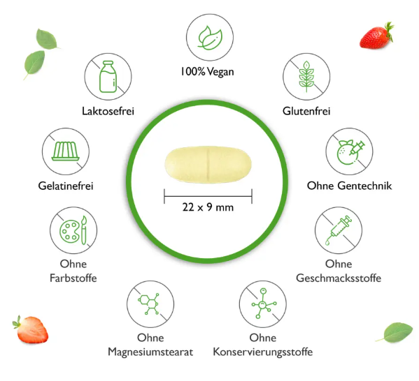 Vit4ever MSM + vitamín C, 1000 mg, 365 tablet